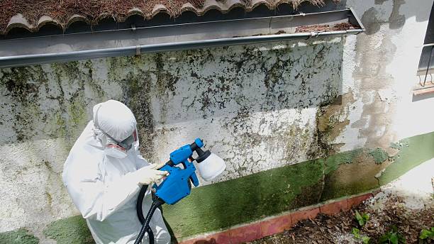 Top rated local Mold Removal specialists in Riverdale, GA